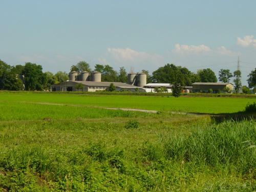 Agroturismo Agriturismo Le Risaie