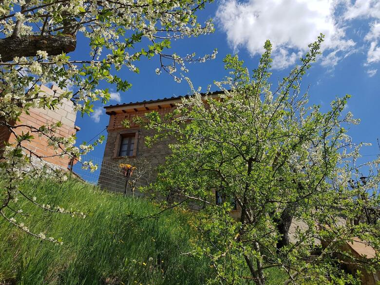 Agroturismo Podere Santa Luisa