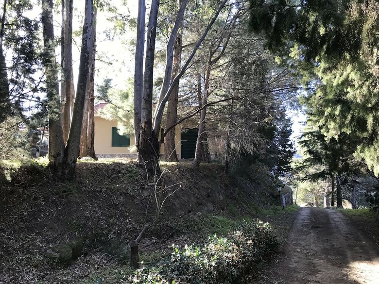 Villa Uliveto
