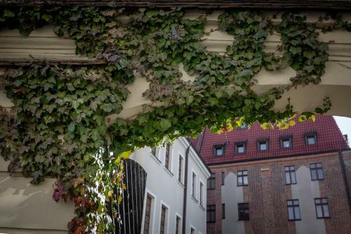 Apartament S?oneczny - M?yn Maria - Art Apartments