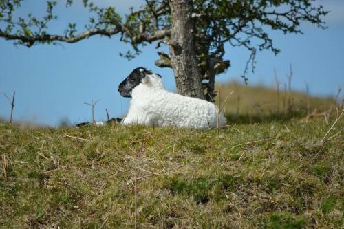 Luxurious Self Catering Holiday Cottage Cornwall