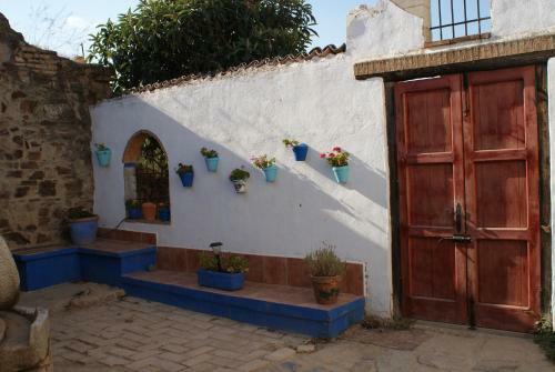 Villa Experience Alpacas In Andalucia