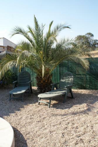 Villa Experience Alpacas In Andalucia
