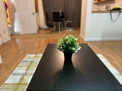 Lovely 1 Bedroom Apartment Free Onsite Parking