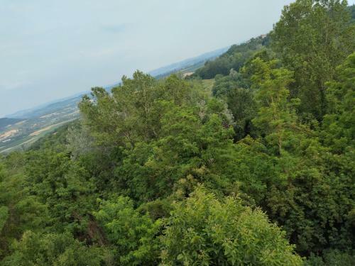 Hostal Il Balcone Di Napoleone
