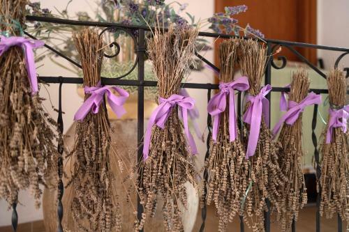 Apartamento Profumo Di Lavanda Verde