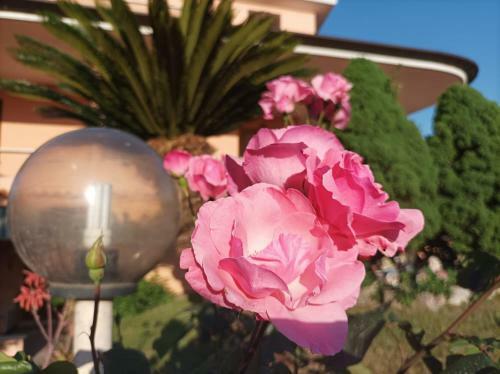 Villa With Swimming Pool 10 Minutes From The Sea