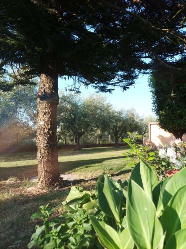 Villa With Swimming Pool 10 Minutes From The Sea