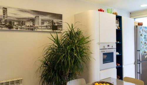 Bed & Breakfast Albatros Rooms