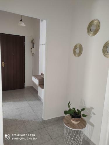 Apartamento Appartamento Giulio Cesare