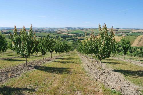 Agroturismo Cadab�
