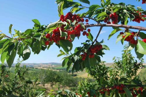 Agroturismo Cadab�