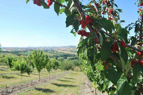 Agroturismo Cadab�