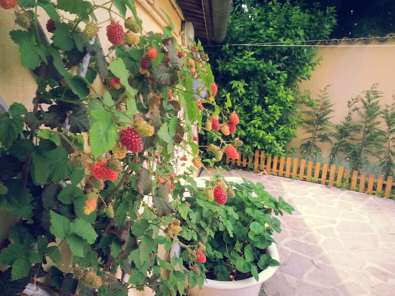 Agroturismo Tenuta Fagnanetto