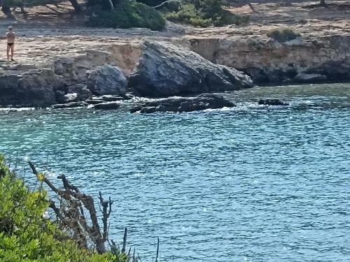 Apartamento Salento Mare E Sole