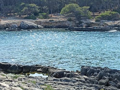 Apartamento Salento Mare E Sole