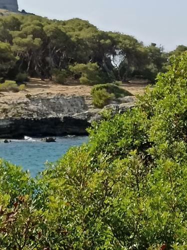 Apartamento Salento Mare E Sole