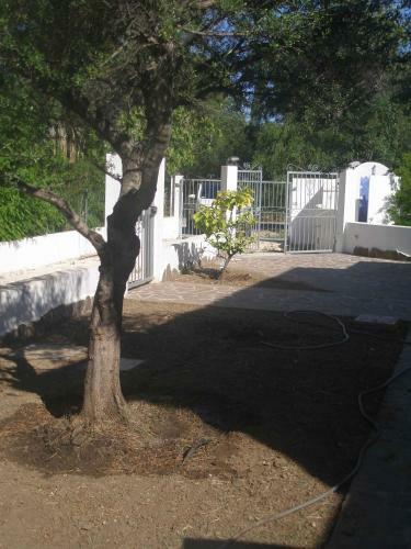 Holiday Home In Orosei Nuoro Provinz 39543