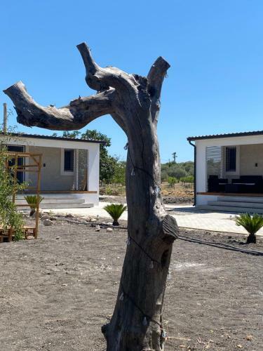 Bed & Breakfast Relais Casa Bonivini