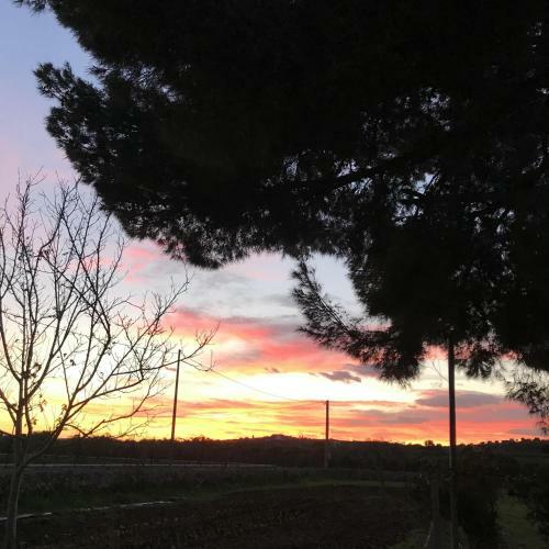 Bed & Breakfast Casapiuholidaysicilia