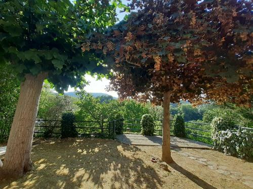 Villa Le Palmine
