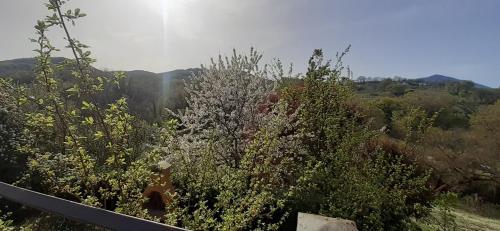 Villa Le Palmine