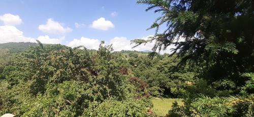Villa Le Palmine