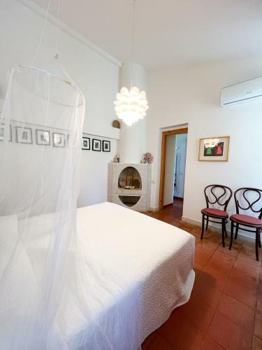 Casa Tat�n