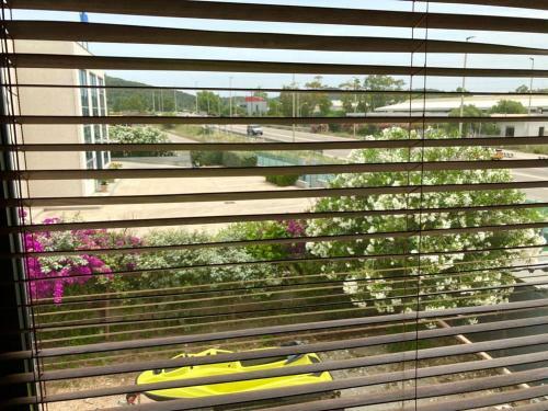 Apartamento Appartamento Accogliente