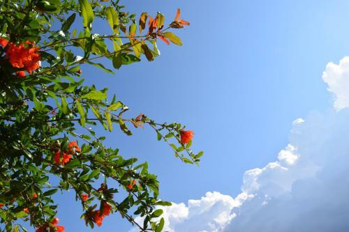 Bed & Breakfast Al Chiaro Di Luna