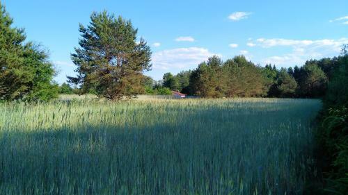 Lodge Domek Nad Jeziorem