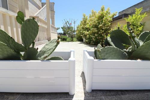 Elegante Casa Marina A Otranto