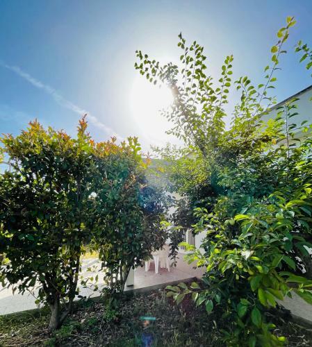 Tenuta Angelini Apartments