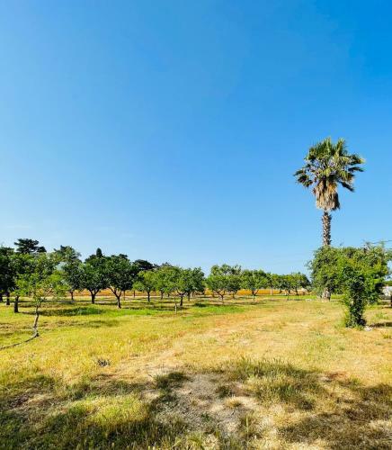 Tenuta Angelini Apartments