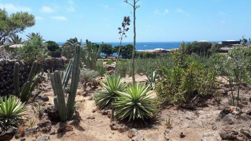 Villa Dammuso Mare E Tramonto D'africa