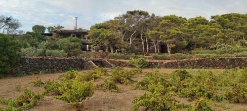 Villa Dammuso Mare E Tramonto D'africa