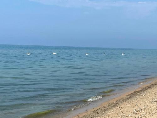 Retro Home On Lake Michigan-- Private Beach Access
