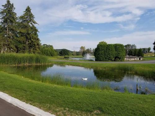 Boyne Mountain Condo -sleeps 12
