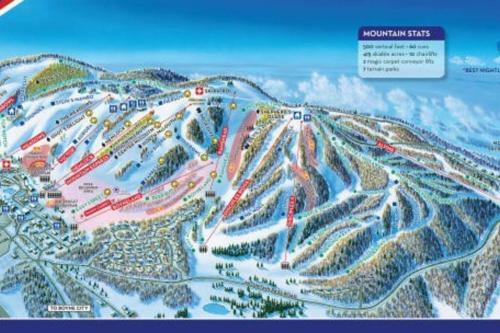 Boyne Mountain Condo -sleeps 12