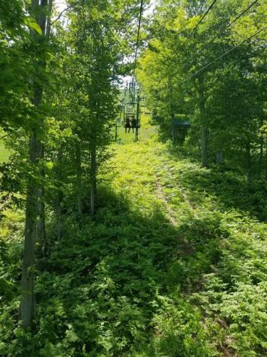 Boyne Mountain Condo -sleeps 12