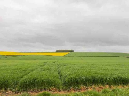 Wayside, Yorkshire Wolds Holiday Home