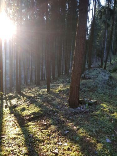 Apartamento Ferienidyll Edelhof