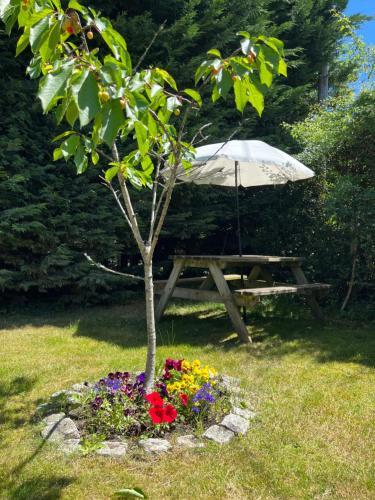 Apartamento New Forest Hideaway- Self Catering Accommodation