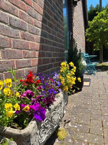 Apartamento New Forest Hideaway- Self Catering Accommodation