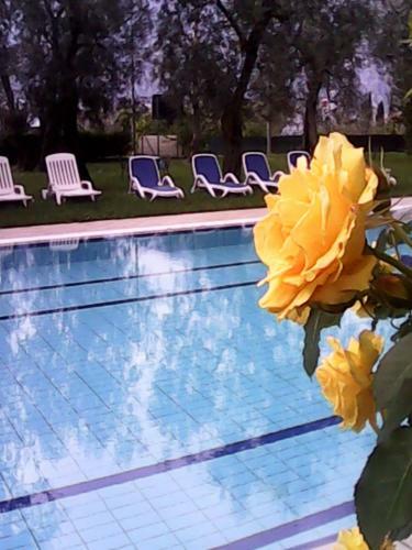 Hotel Garn� Casa Rabagno