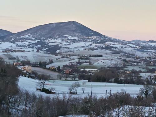 Bed And Breakfast La Cerasa