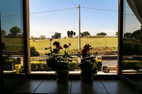 Albergue Agriresort San Bartolomeo