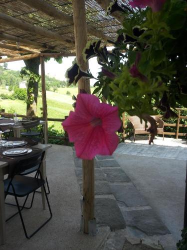 Agroturismo Terre Di Casalia