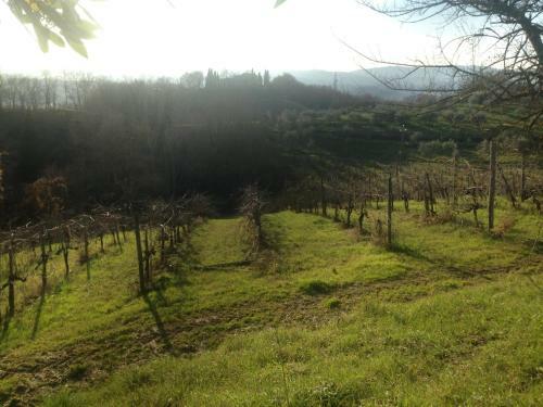Agroturismo Podere San Lorenzo