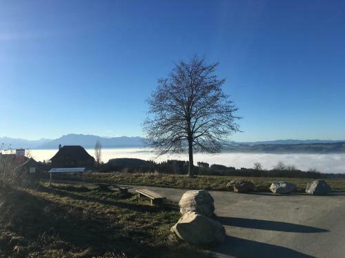 Bed And Breakfast Oase Im Seetal
